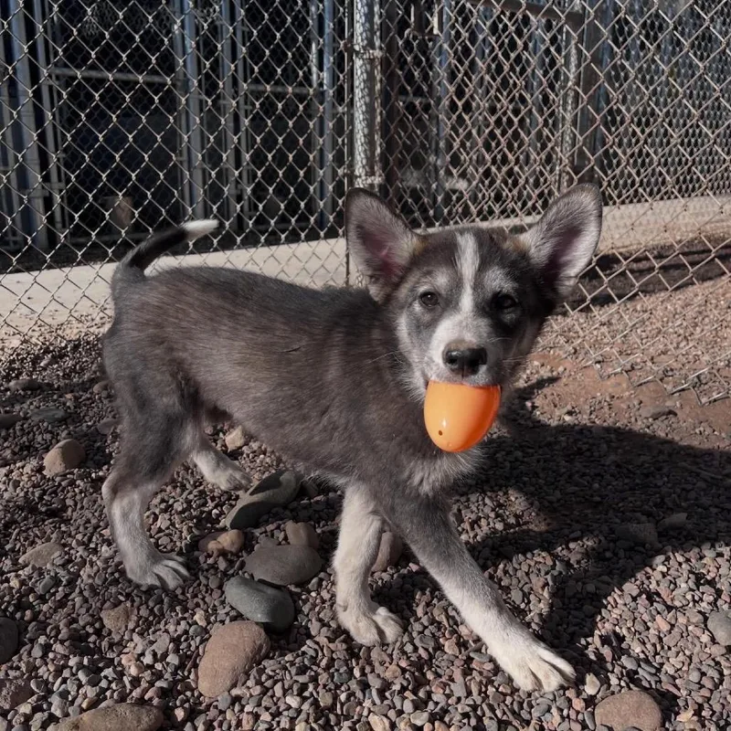 Mary Ann thumbnail 4