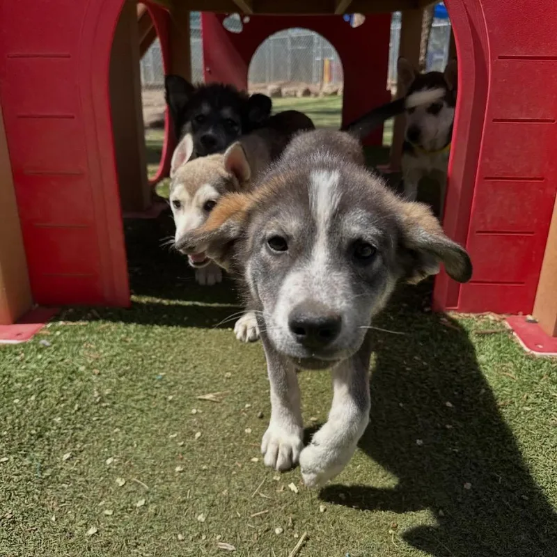 Mary Ann thumbnail 5