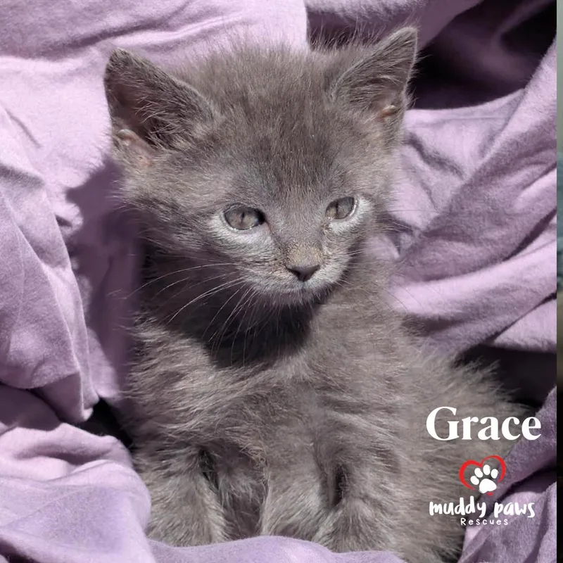 Bedtime Stories:  Grace thumbnail 2