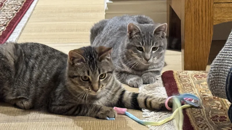 Max From “max And thumbnail 3