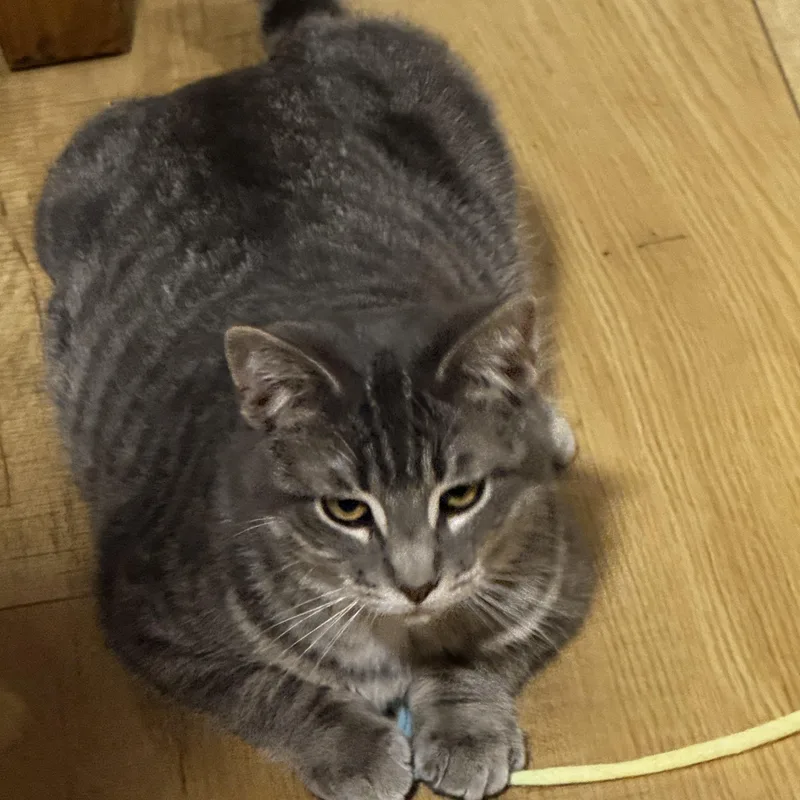 Max From “max And thumbnail 4