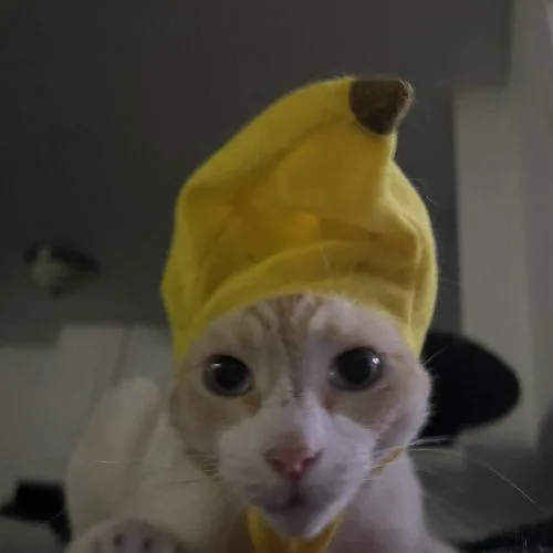 Baby thumbnail 3