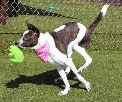 Sully Athens thumbnail 2