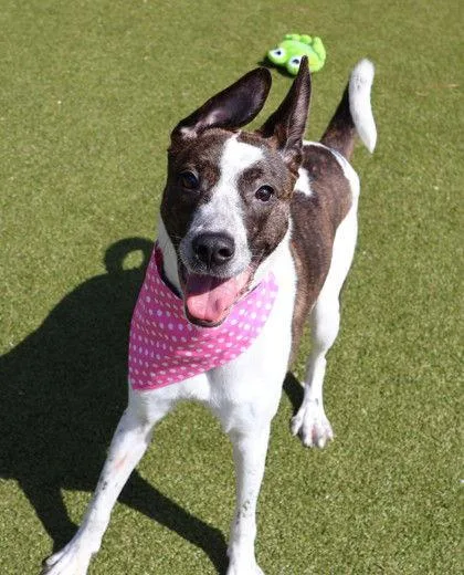 Sully Athens thumbnail 3