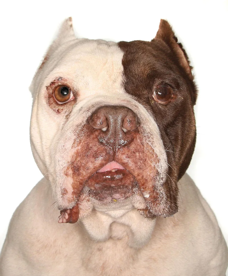 Davinchi thumbnail 2