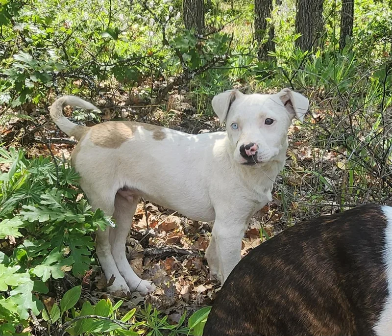 Casper