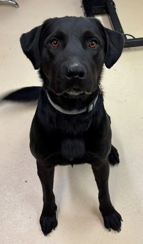 Zimmerman thumbnail 2