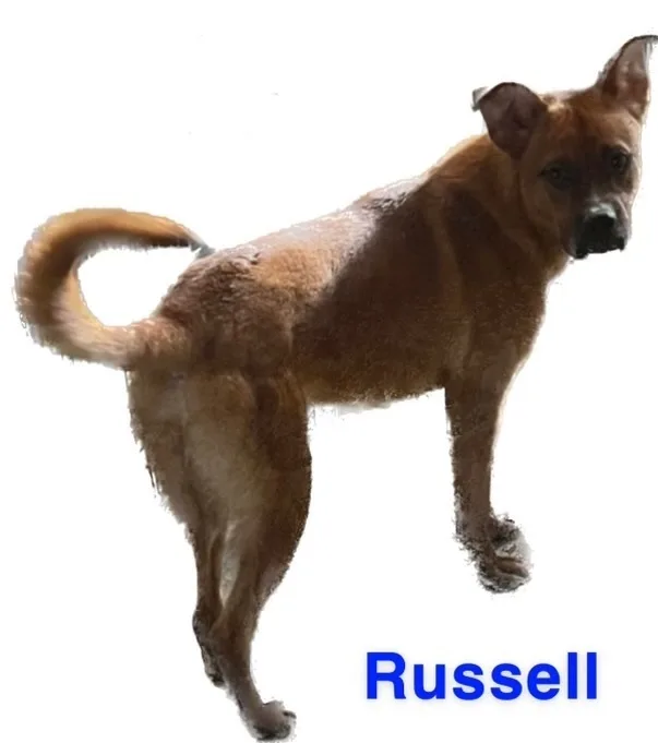 Russell