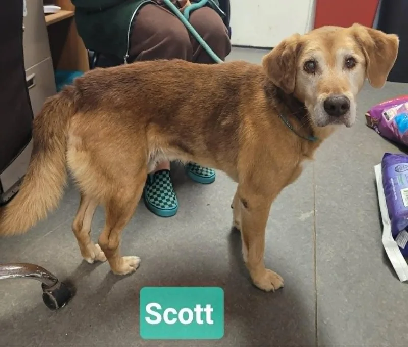 Scott thumbnail 2