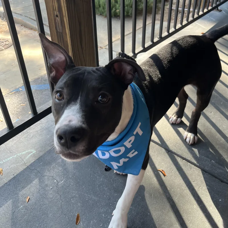 Harry Kim thumbnail 2