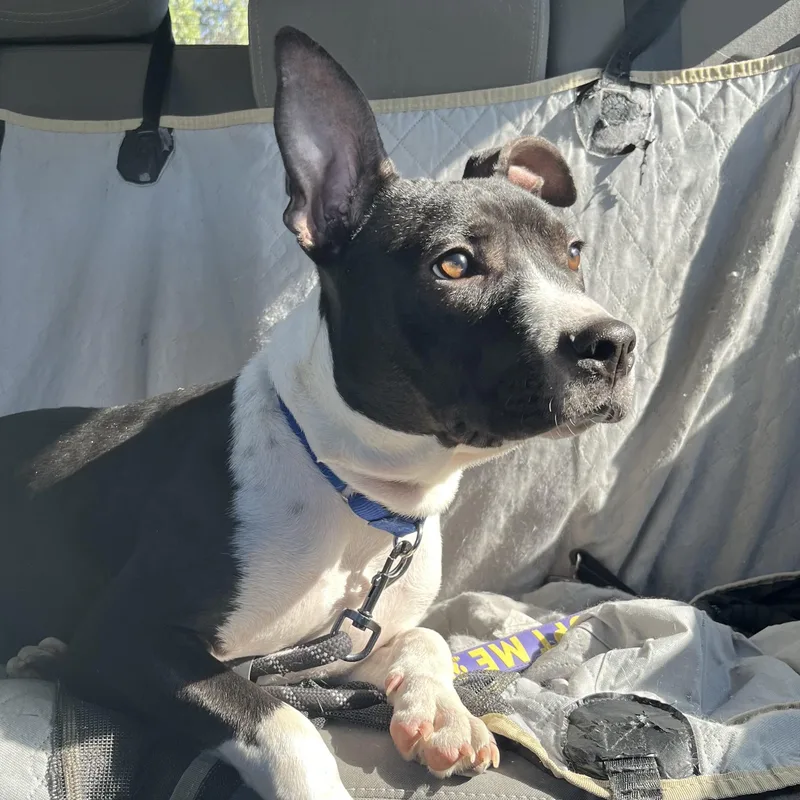 Harry Kim thumbnail 3