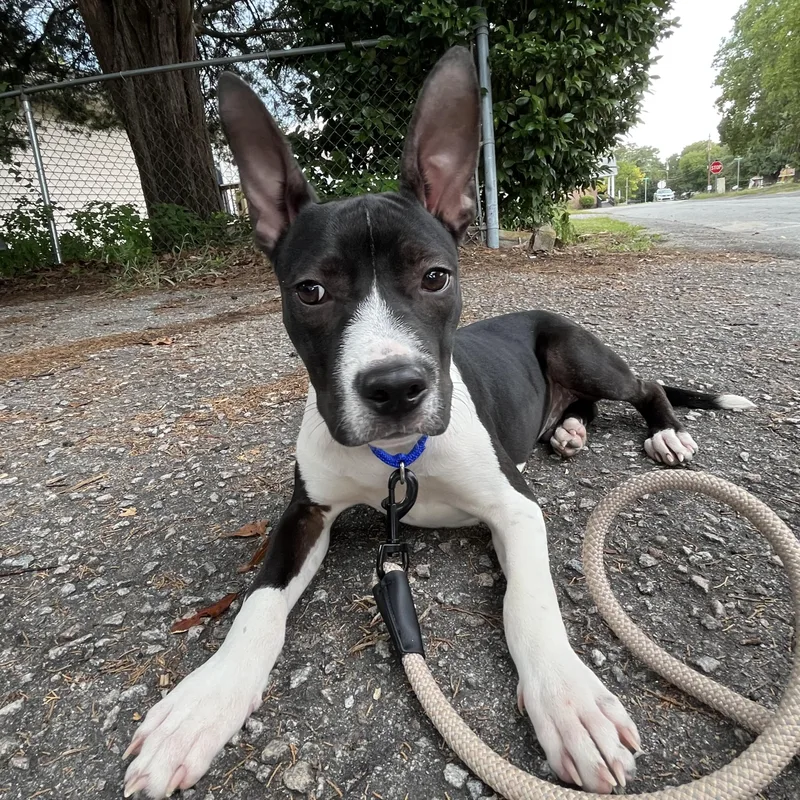 Harry Kim thumbnail 5