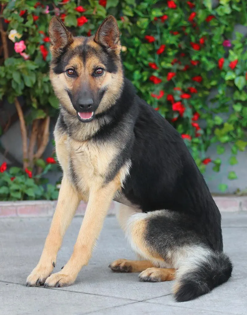 Pia Von Peitz thumbnail 3