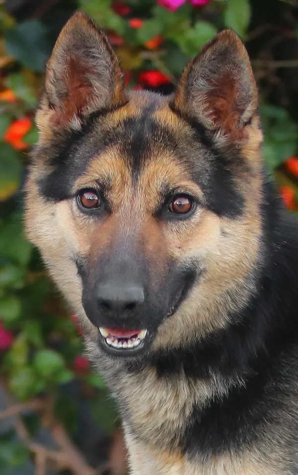 Pia Von Peitz thumbnail 4