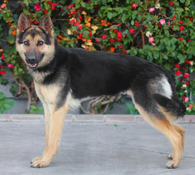 Pia Von Peitz thumbnail 5