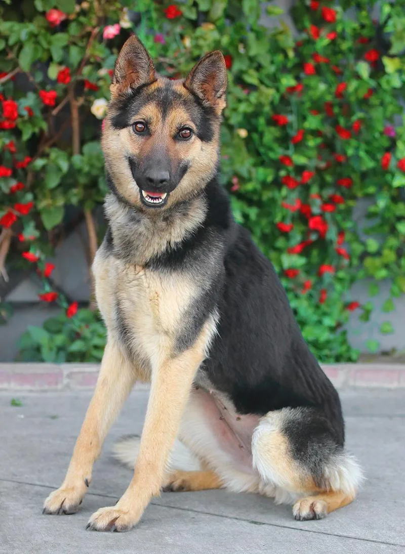 Pia Von Peitz thumbnail 6