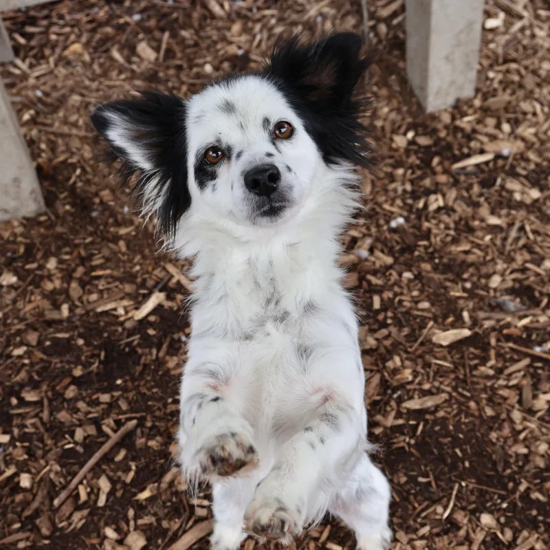 Florence thumbnail 2