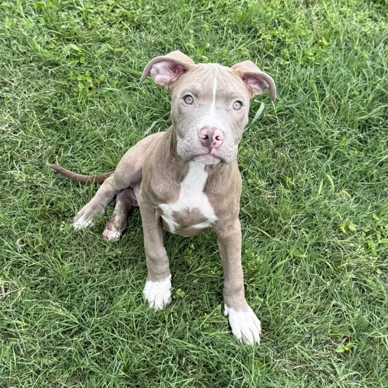 Loverboy thumbnail 2