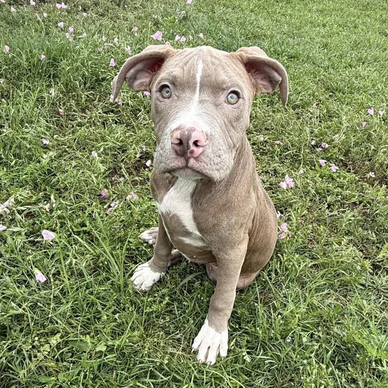 Loverboy thumbnail 3