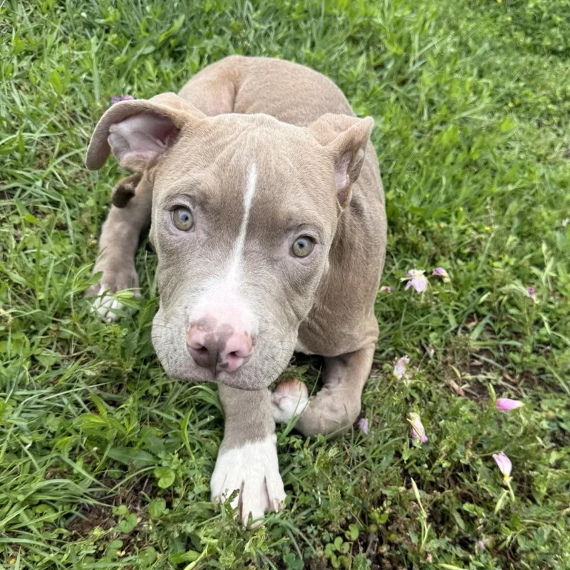 Loverboy thumbnail 4