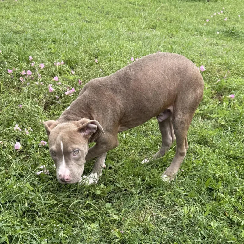 Loverboy thumbnail 5