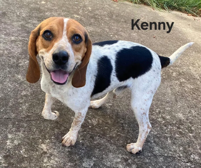 Kenny B