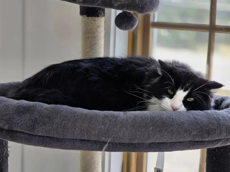 Melvin thumbnail 3
