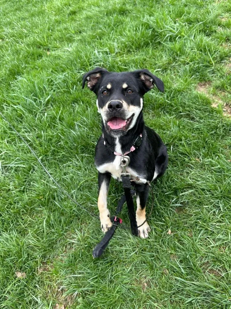 Katy Roo thumbnail 2