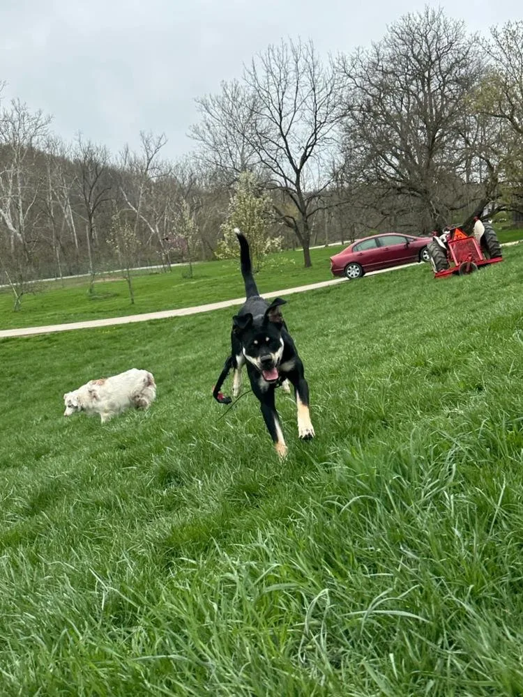 Katy Roo thumbnail 3