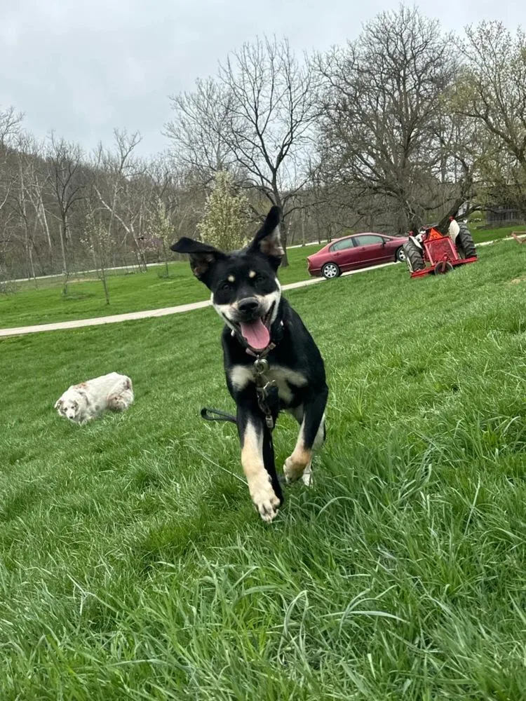 Katy Roo thumbnail 5