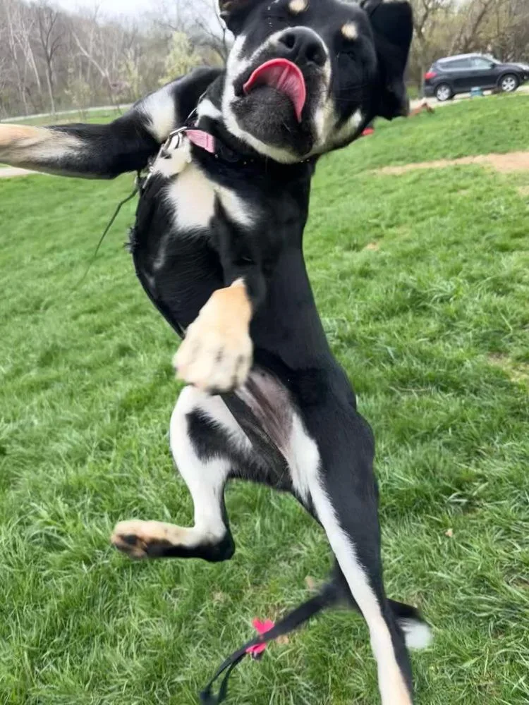 Katy Roo thumbnail 6