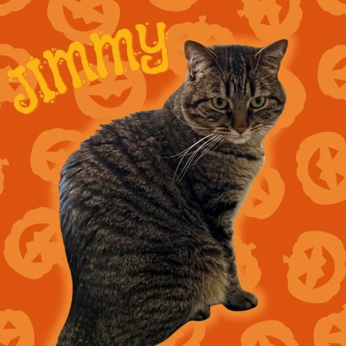 Jimmy thumbnail 3