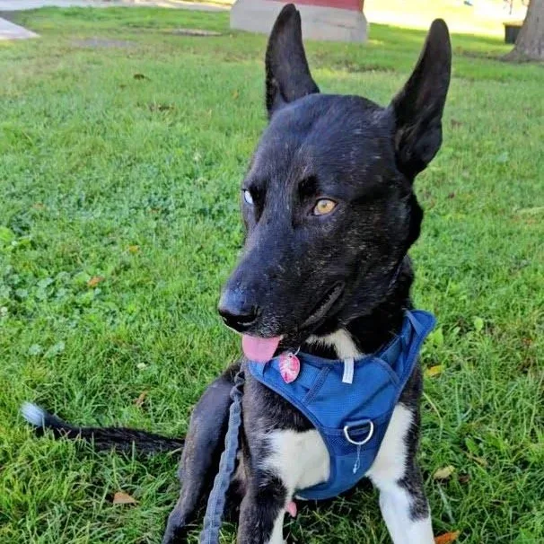 Stunning Jett thumbnail 4