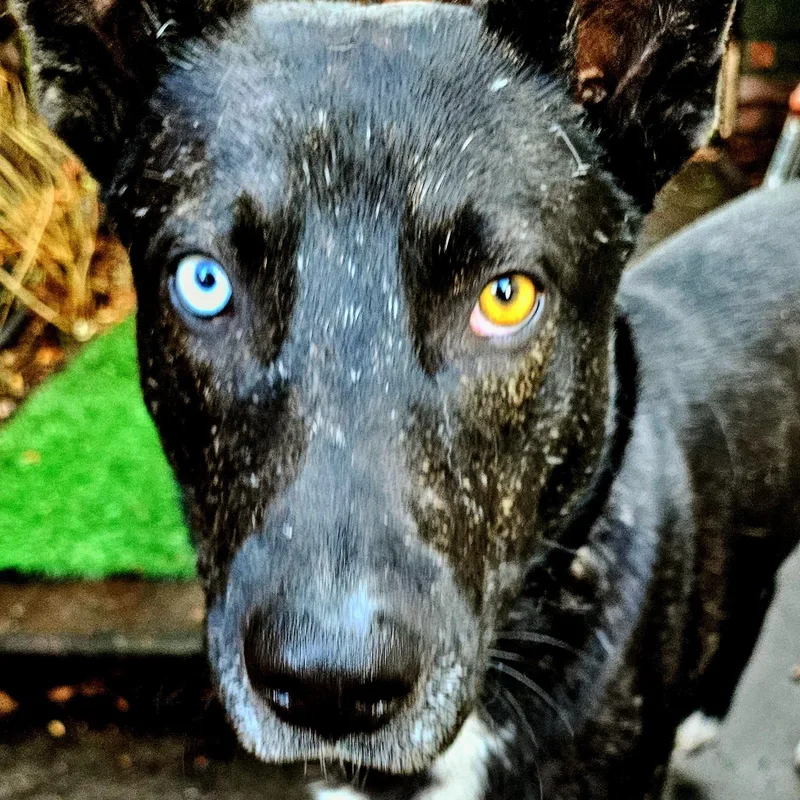 Stunning Jett thumbnail 5