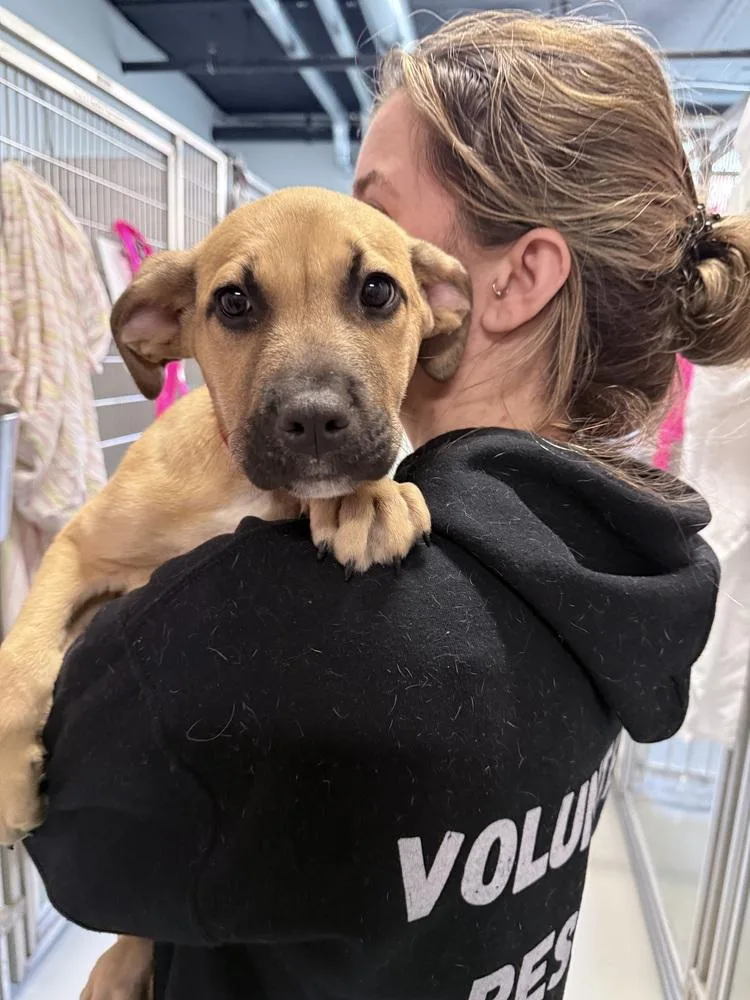 Cooper Boomer thumbnail 3