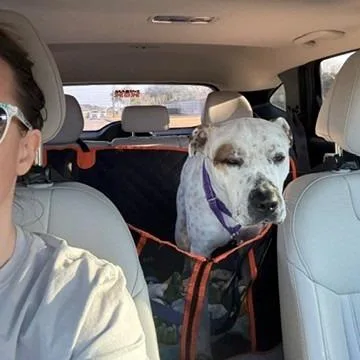 Ferdinan thumbnail 2