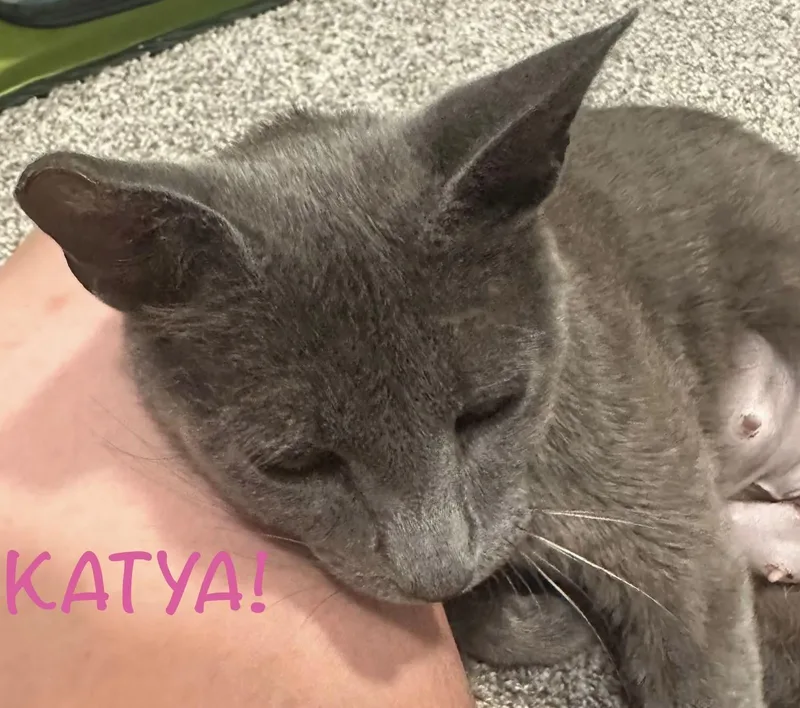 Katya thumbnail 2