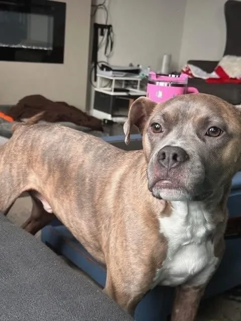 Eddie Stokes thumbnail 2