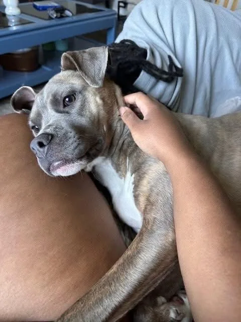 Eddie Stokes thumbnail 3