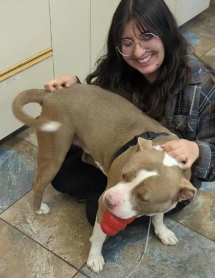 Meatball thumbnail 2