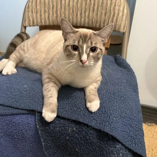 Phyllis "philly" thumbnail 2