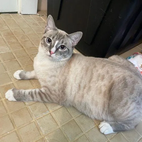 Phyllis "philly" thumbnail 3