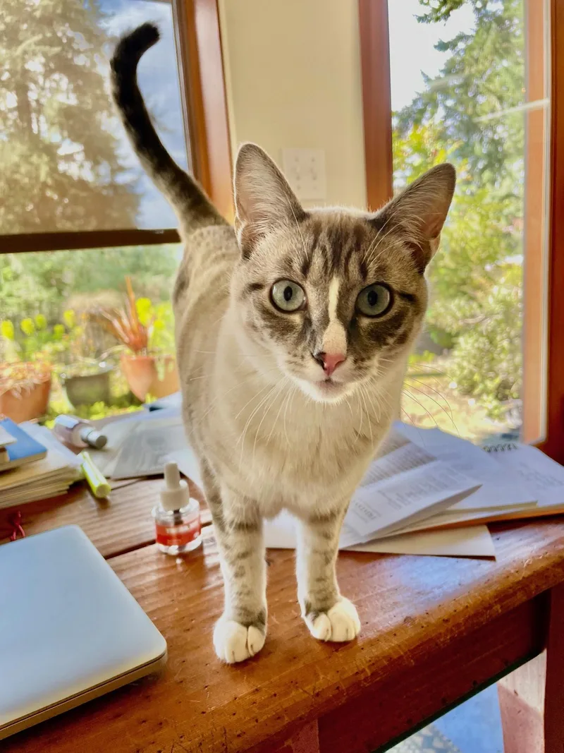 Phyllis "philly" thumbnail 4