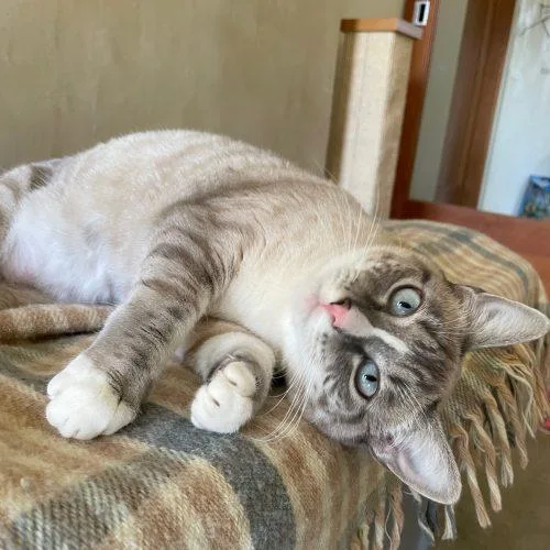 Phyllis "philly" thumbnail 5