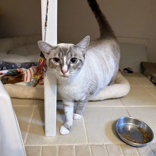 Phyllis "philly" thumbnail 6