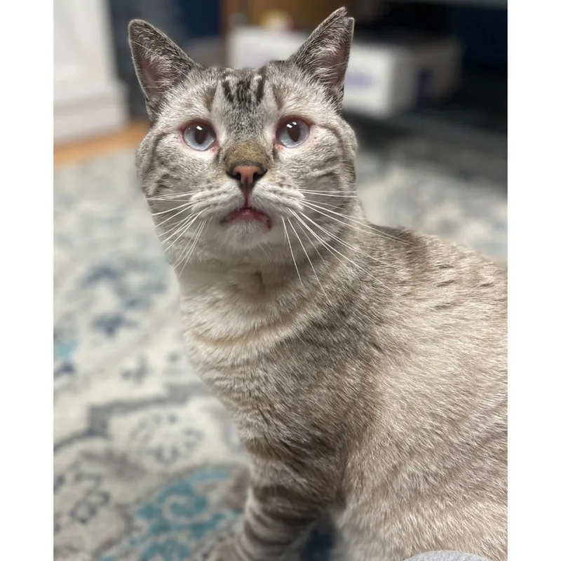 Condor Church thumbnail 2