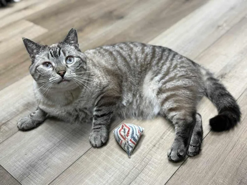 Condor Church thumbnail 6