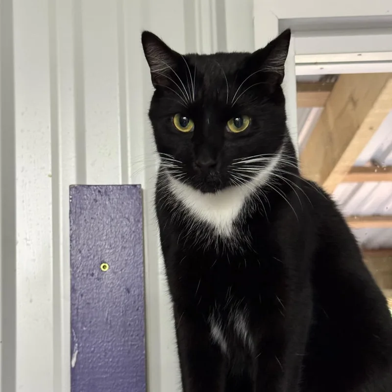 George Aka Georgie thumbnail 2