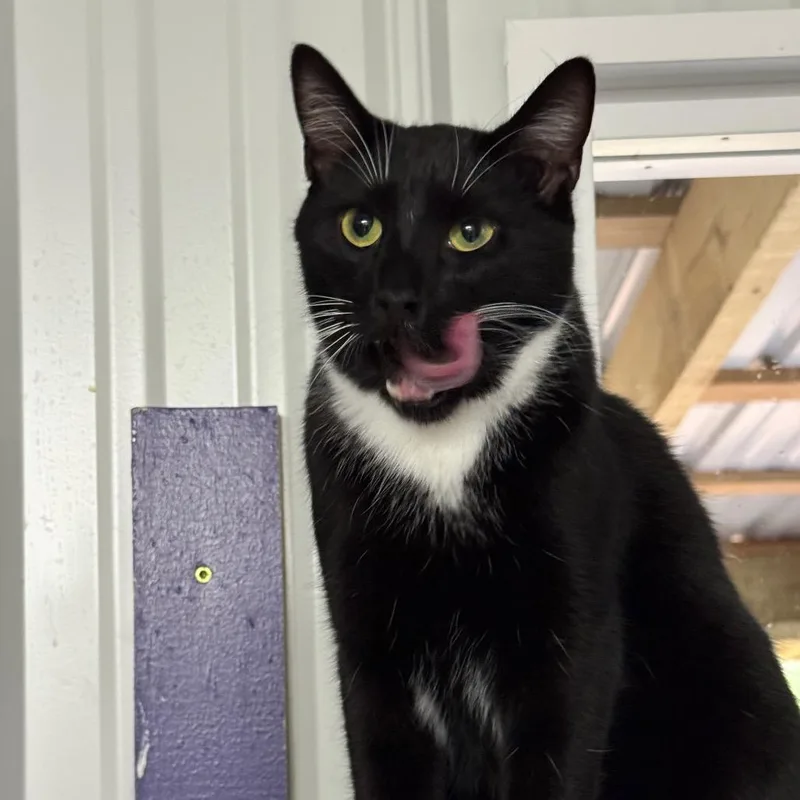 George Aka Georgie thumbnail 4