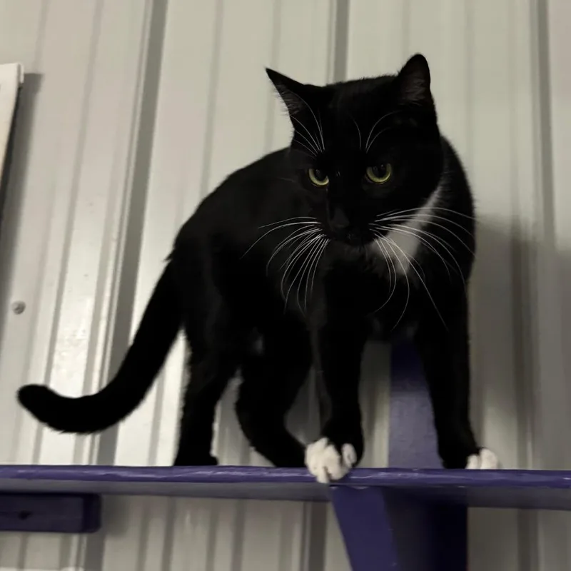 George Aka Georgie thumbnail 5